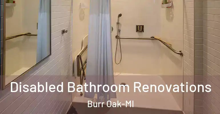inner Bathroom imggen Disabled Bathroom Renovations Burr Oak-MI
