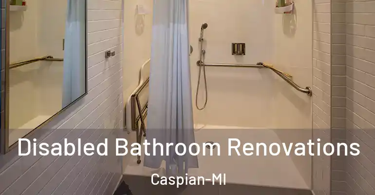inner Bathroom imggen Disabled Bathroom Renovations Caspian-MI