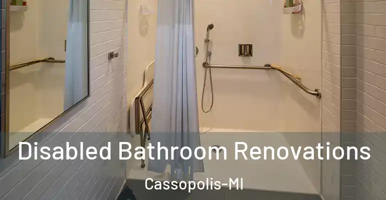 inner Bathroom imggen Disabled Bathroom Renovations Cassopolis-MI