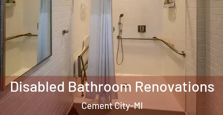inner Bathroom imggen Disabled Bathroom Renovations Cement City-MI