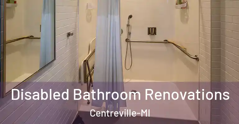 inner Bathroom imggen Disabled Bathroom Renovations Centreville-MI
