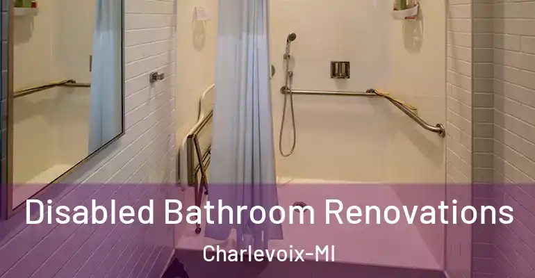 inner Bathroom imggen Disabled Bathroom Renovations Charlevoix-MI