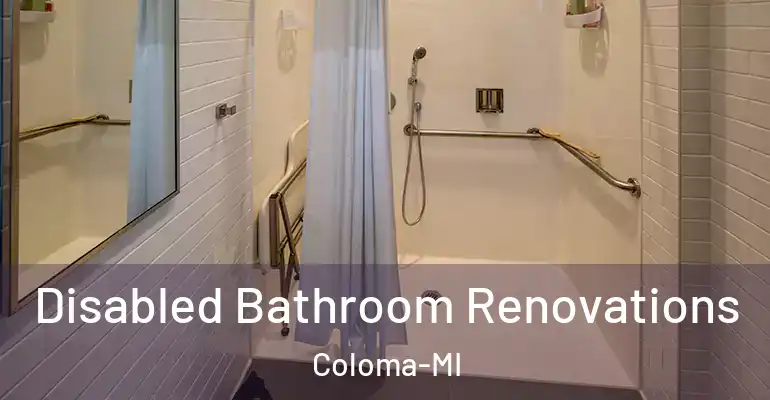 inner Bathroom imggen Disabled Bathroom Renovations Coloma-MI