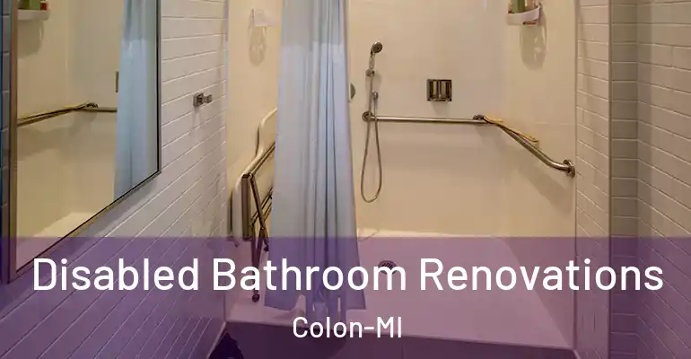 inner Bathroom imggen Disabled Bathroom Renovations Colon-MI