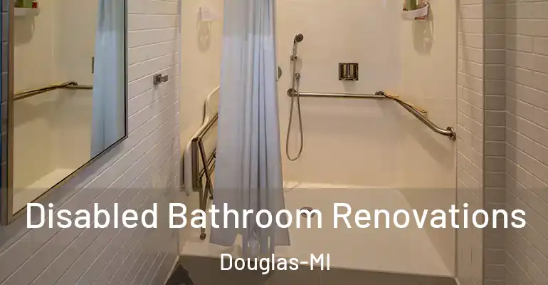 inner Bathroom imggen Disabled Bathroom Renovations Douglas-MI