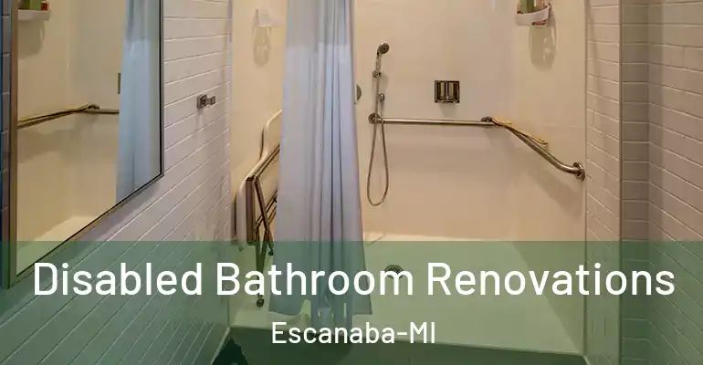 inner Bathroom imggen Disabled Bathroom Renovations Escanaba-MI