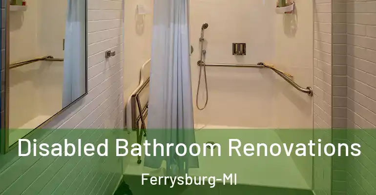 inner Bathroom imggen Disabled Bathroom Renovations Ferrysburg-MI