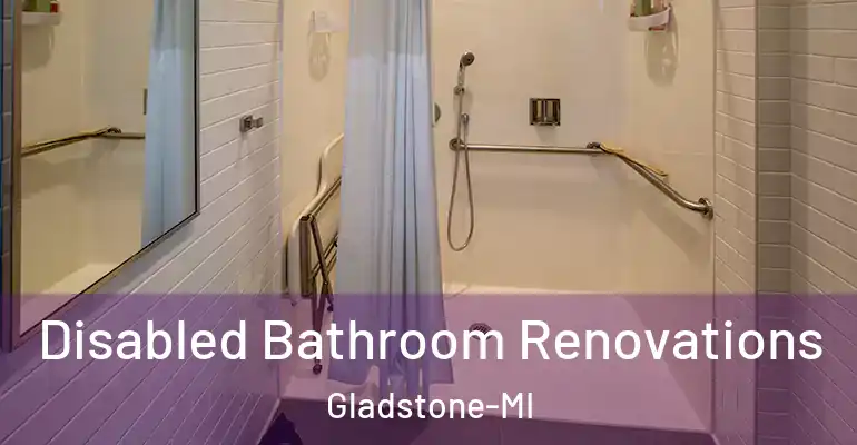 inner Bathroom imggen Disabled Bathroom Renovations Gladstone-MI