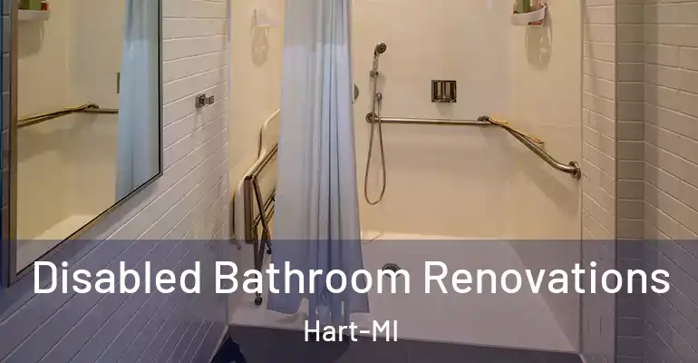 inner Bathroom imggen Disabled Bathroom Renovations Hart-MI