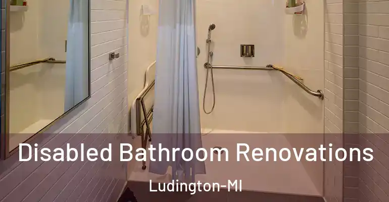 inner Bathroom imggen Disabled Bathroom Renovations Ludington-MI