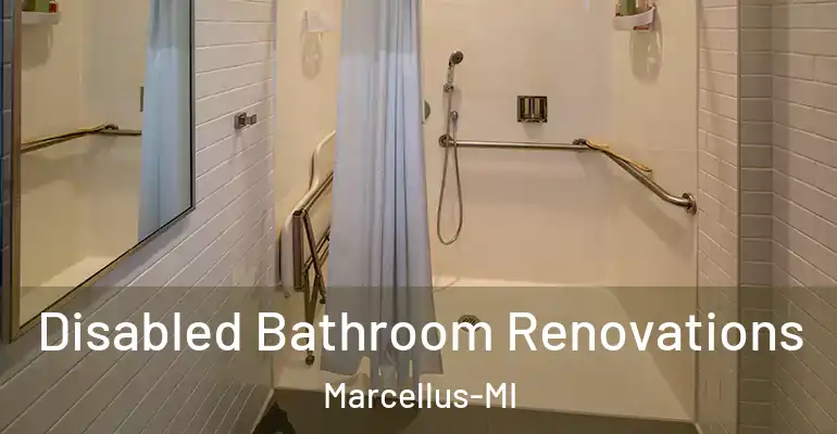 inner Bathroom imggen Disabled Bathroom Renovations Marcellus-MI