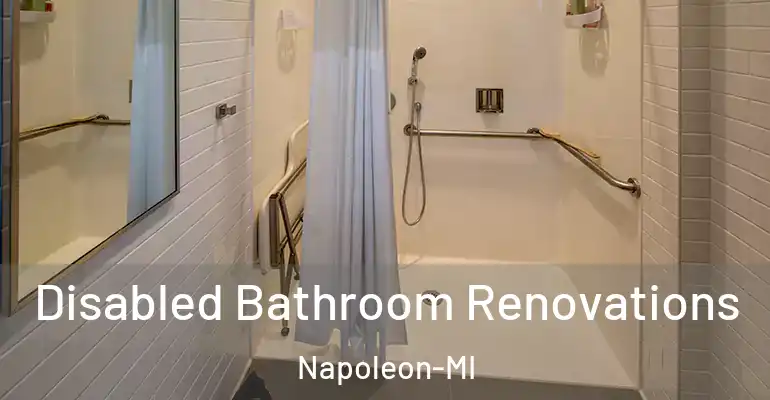 inner Bathroom imggen Disabled Bathroom Renovations Napoleon-MI