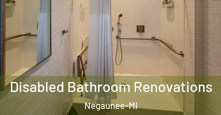 inner Bathroom imggen Disabled Bathroom Renovations Negaunee-MI