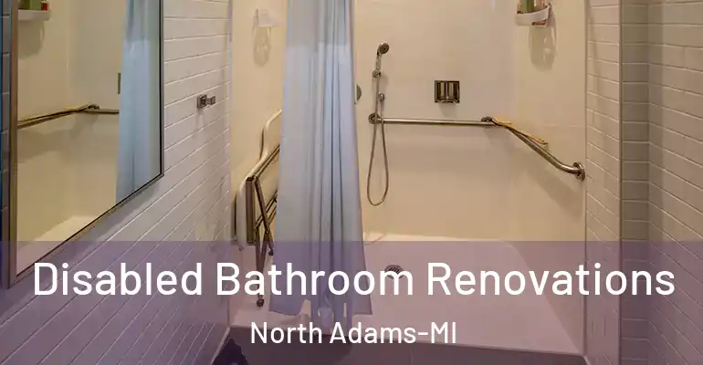 inner Bathroom imggen Disabled Bathroom Renovations North Adams-MI