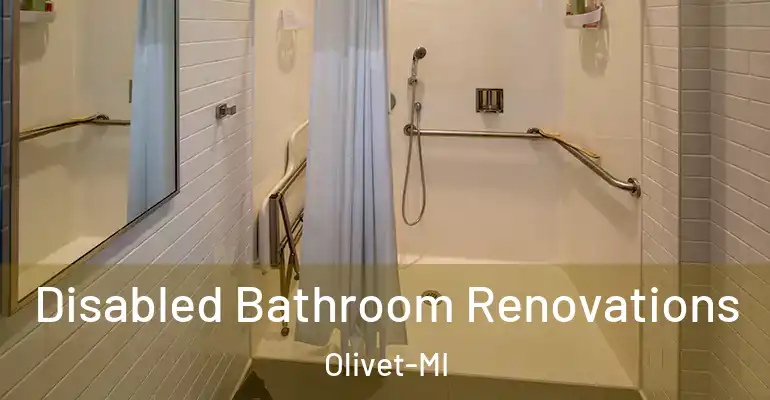 inner Bathroom imggen Disabled Bathroom Renovations Olivet-MI