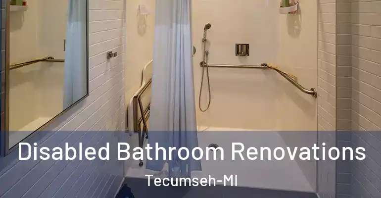 inner Bathroom imggen Disabled Bathroom Renovations Tecumseh-MI