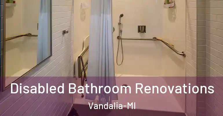 inner Bathroom imggen Disabled Bathroom Renovations Vandalia-MI
