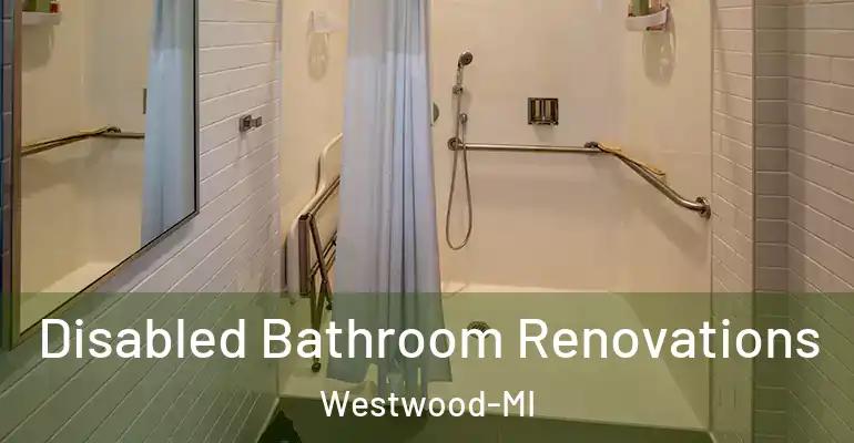 inner Bathroom imggen Disabled Bathroom Renovations Westwood-MI
