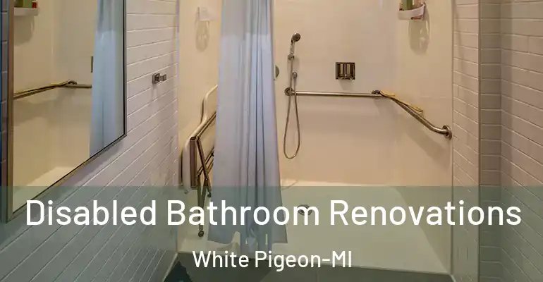 inner Bathroom imggen Disabled Bathroom Renovations White Pigeon-MI