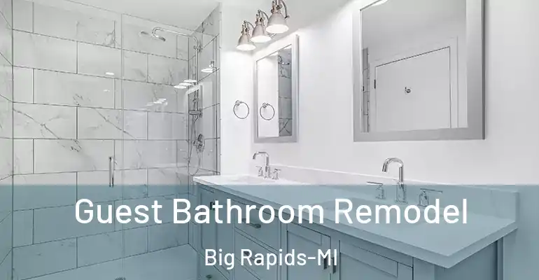 inner Bathroom imggen Guest Bathroom Remodel Big Rapids-MI