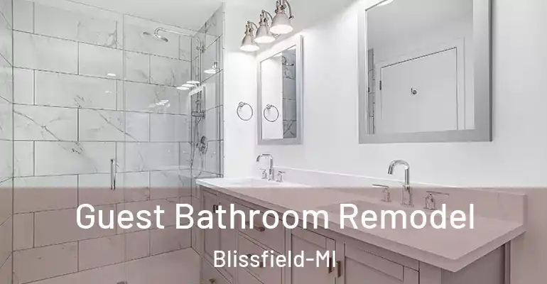inner Bathroom imggen Guest Bathroom Remodel Blissfield-MI