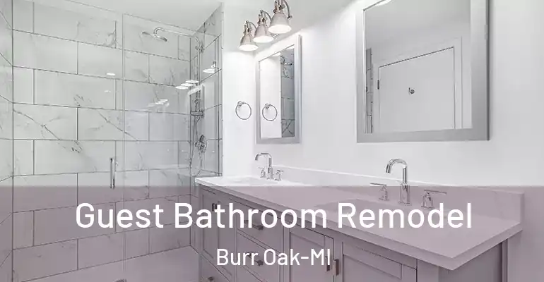 inner Bathroom imggen Guest Bathroom Remodel Burr Oak-MI