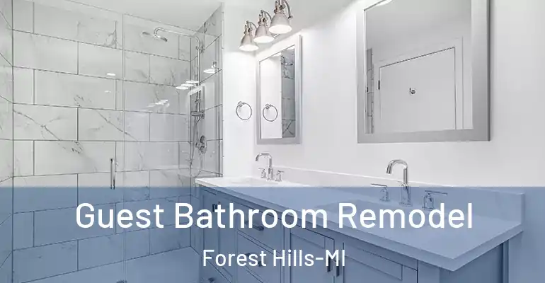inner Bathroom imggen Guest Bathroom Remodel Forest Hills-MI