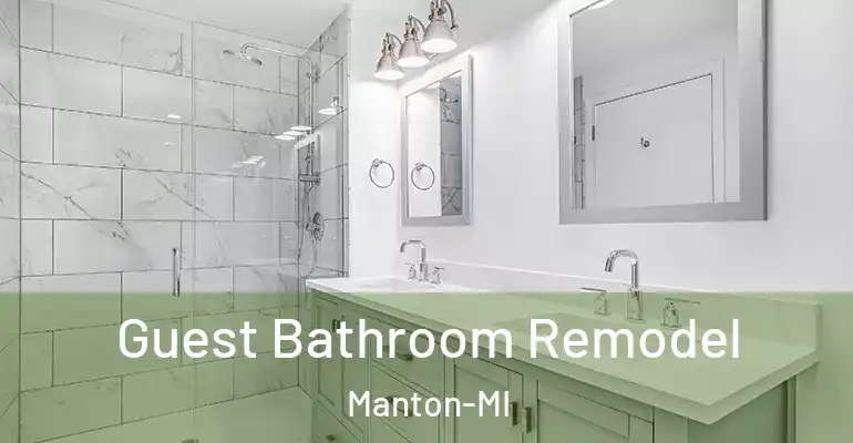 inner Bathroom imggen Guest Bathroom Remodel Manton-MI