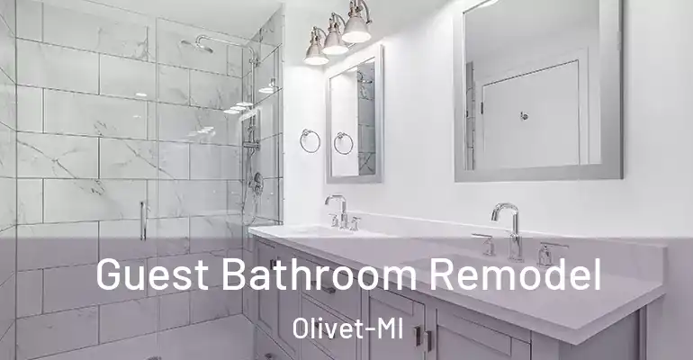 inner Bathroom imggen Guest Bathroom Remodel Olivet-MI
