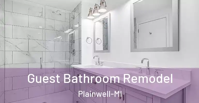 inner Bathroom imggen Guest Bathroom Remodel Plainwell-MI