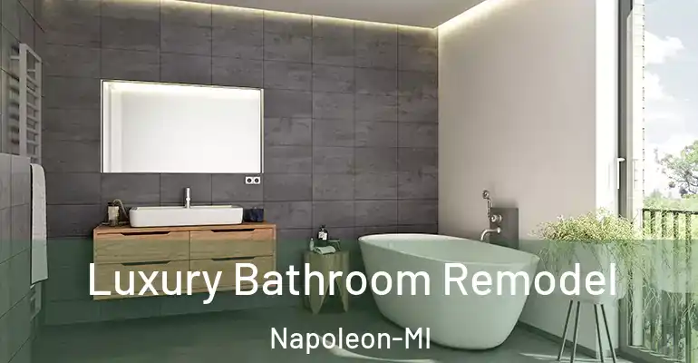 inner Bathroom imggen Luxury Bathroom Remodel Napoleon-MI