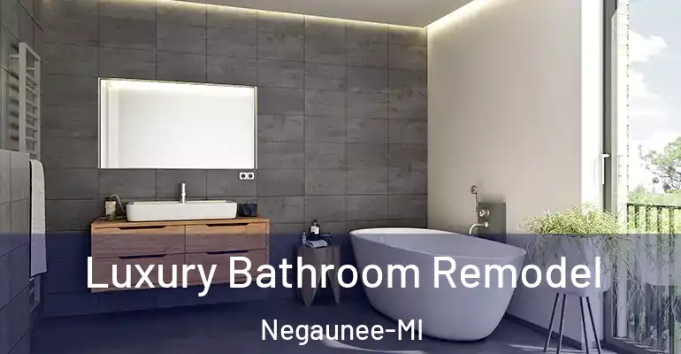 inner Bathroom imggen Luxury Bathroom Remodel Negaunee-MI