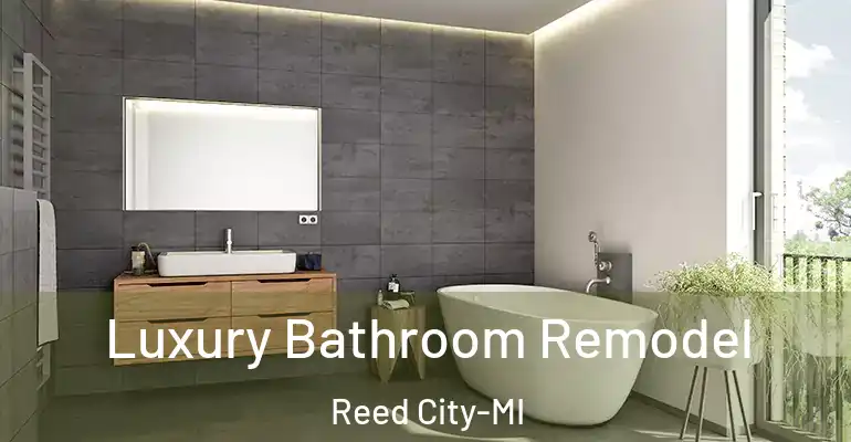 inner Bathroom imggen Luxury Bathroom Remodel Reed City-MI