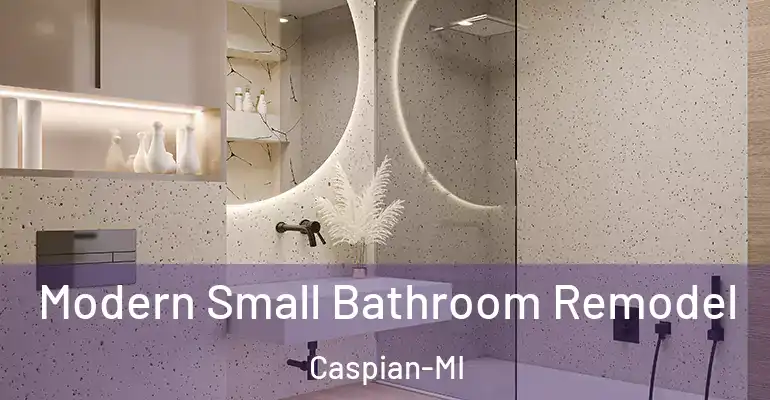 inner Bathroom imggen Modern Small Bathroom Remodel Caspian-MI