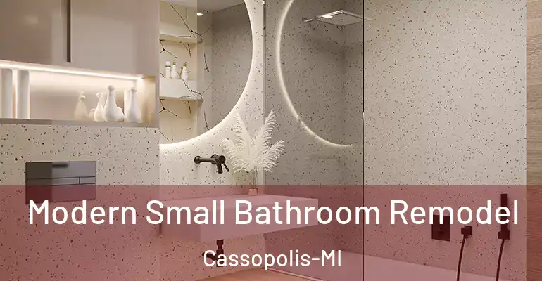 inner Bathroom imggen Modern Small Bathroom Remodel Cassopolis-MI