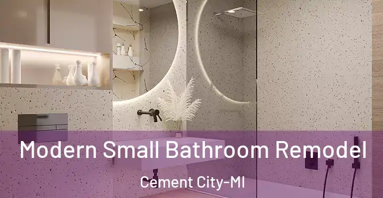 inner Bathroom imggen Modern Small Bathroom Remodel Cement City-MI