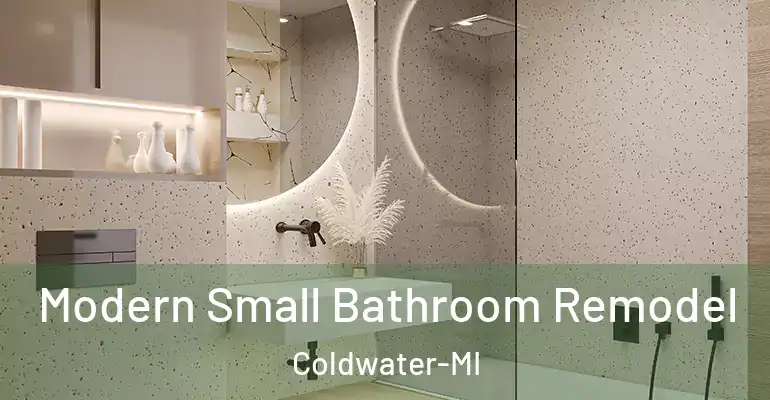 inner Bathroom imggen Modern Small Bathroom Remodel Coldwater-MI