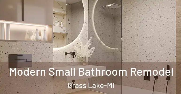 inner Bathroom imggen Modern Small Bathroom Remodel Grass Lake-MI