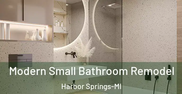 inner Bathroom imggen Modern Small Bathroom Remodel Harbor Springs-MI