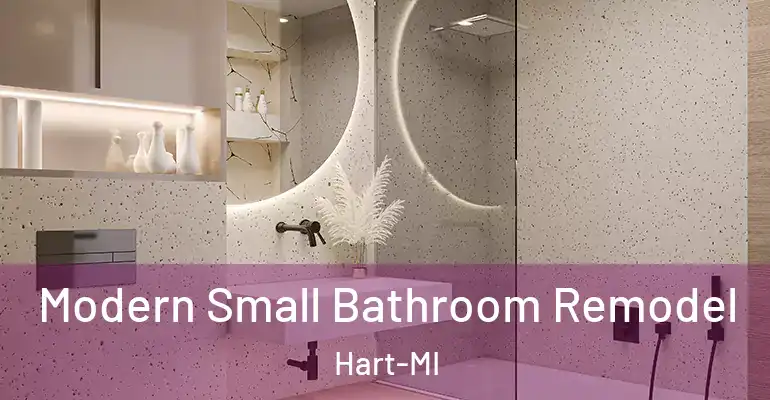 inner Bathroom imggen Modern Small Bathroom Remodel Hart-MI