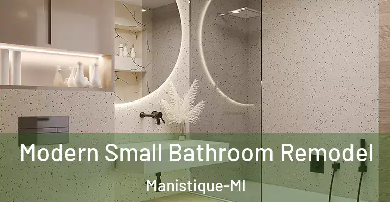 inner Bathroom imggen Modern Small Bathroom Remodel Manistique-MI