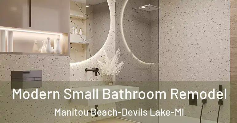 inner Bathroom imggen Modern Small Bathroom Remodel Manitou Beach-Devils Lake-MI