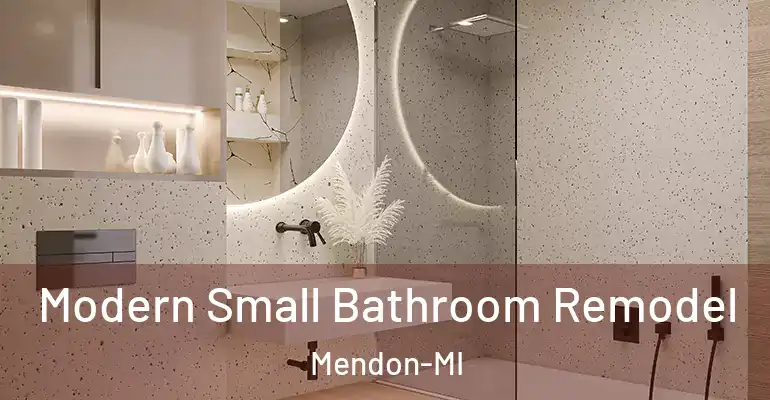 inner Bathroom imggen Modern Small Bathroom Remodel Mendon-MI