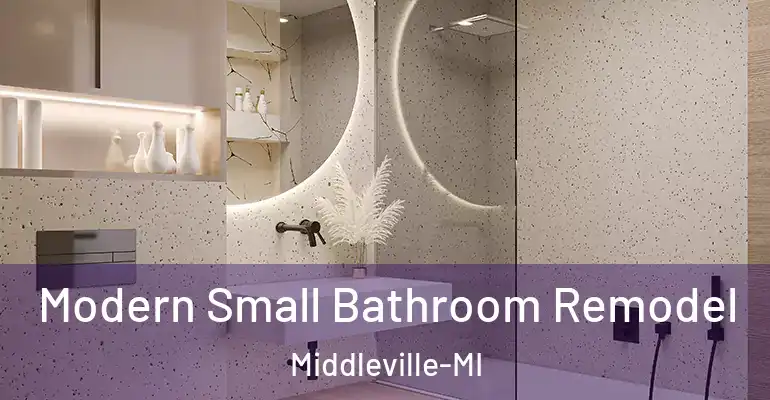inner Bathroom imggen Modern Small Bathroom Remodel Middleville-MI