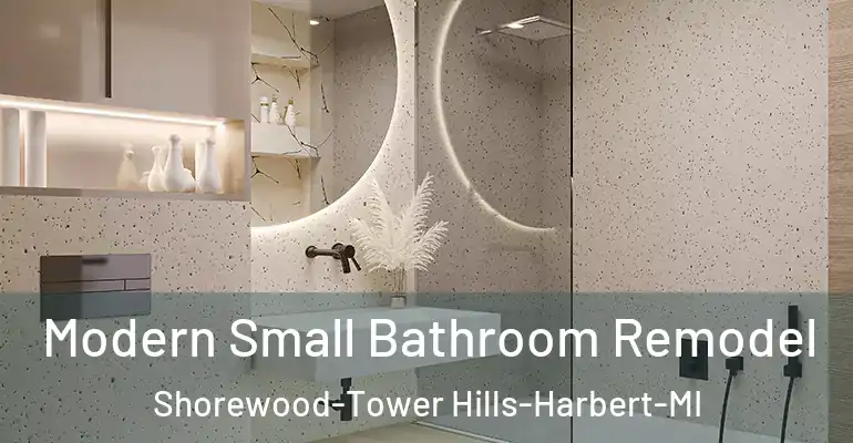 inner Bathroom imggen Modern Small Bathroom Remodel Shorewood-Tower Hills-Harbert-MI