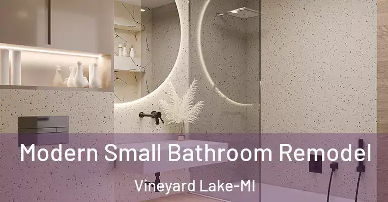 inner Bathroom imggen Modern Small Bathroom Remodel Vineyard Lake-MI