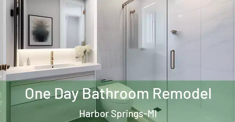 inner Bathroom imggen One Day Bathroom Remodel Harbor Springs-MI