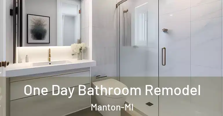 inner Bathroom imggen One Day Bathroom Remodel Manton-MI