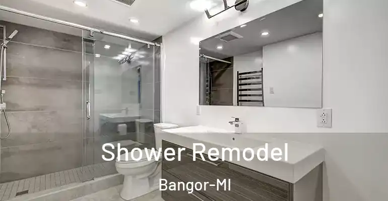 inner Bathroom imggen Shower Remodel Bangor-MI
