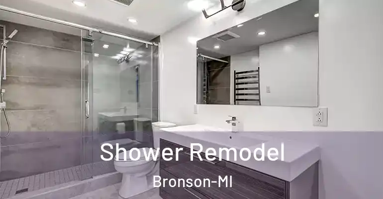 inner Bathroom imggen Shower Remodel Bronson-MI